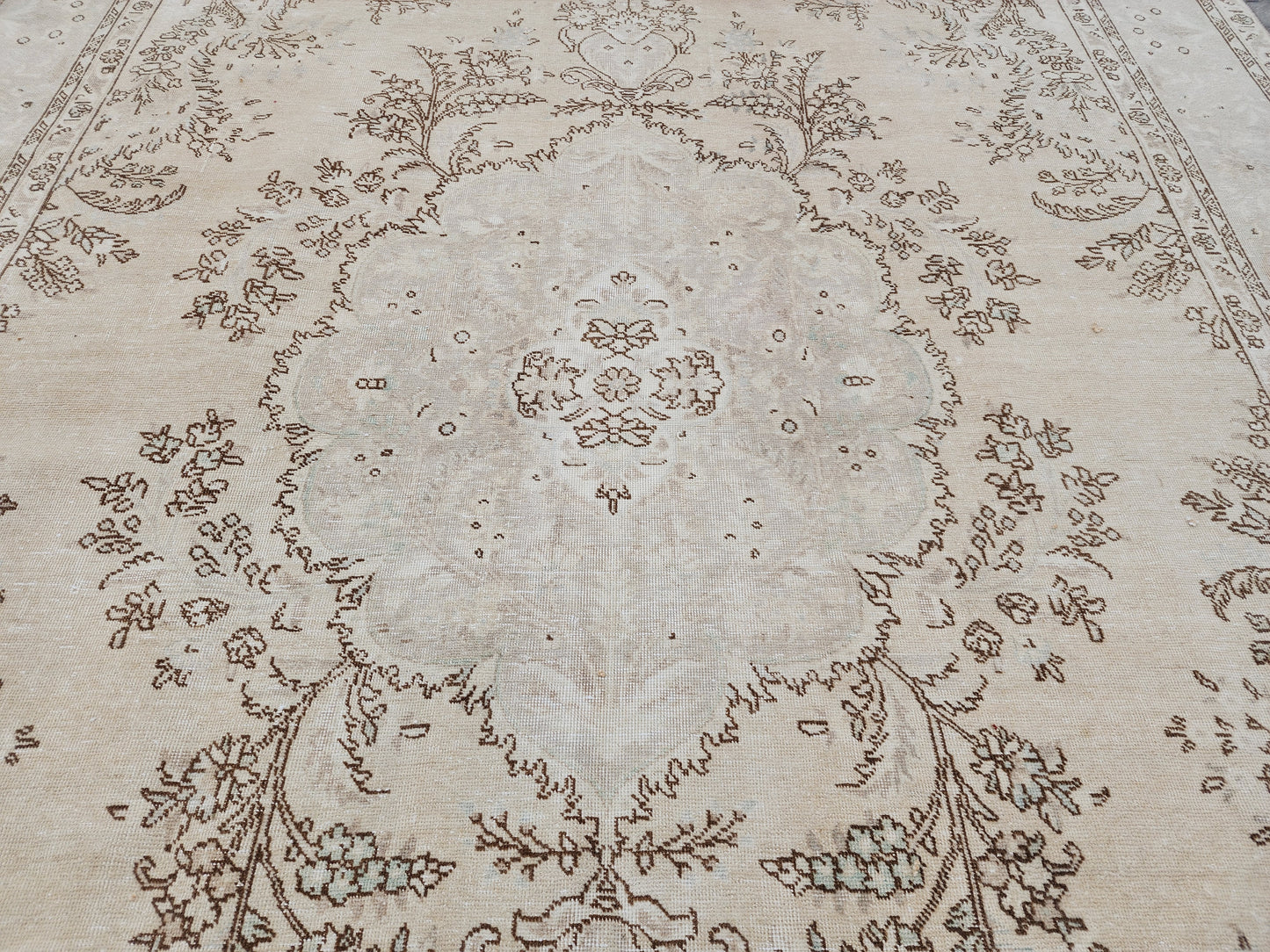 Vintage Neutral Area Rug 9x12 ft - skua207