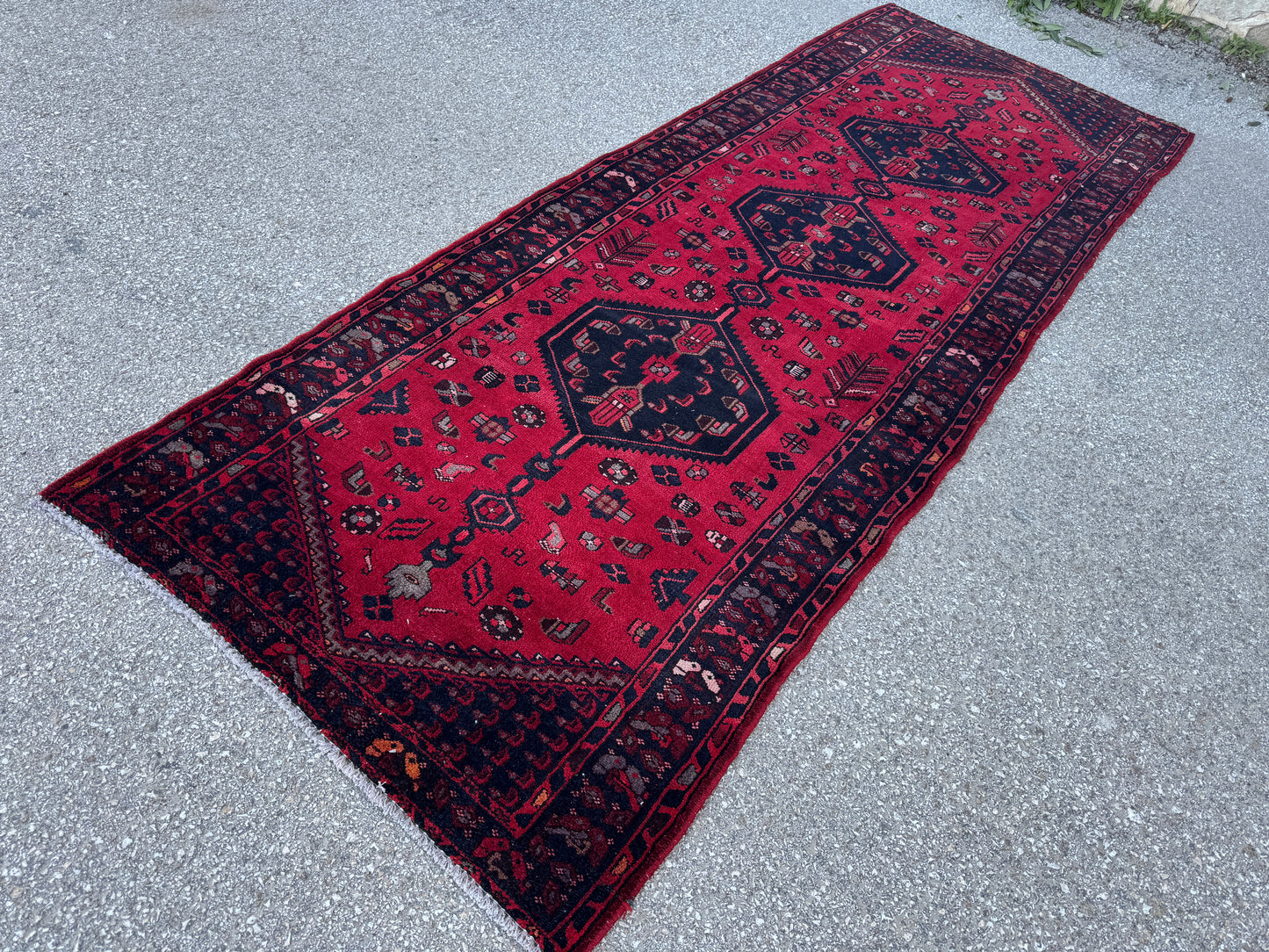 Entyway Bohemian Runner Rug 3x10- sku1851