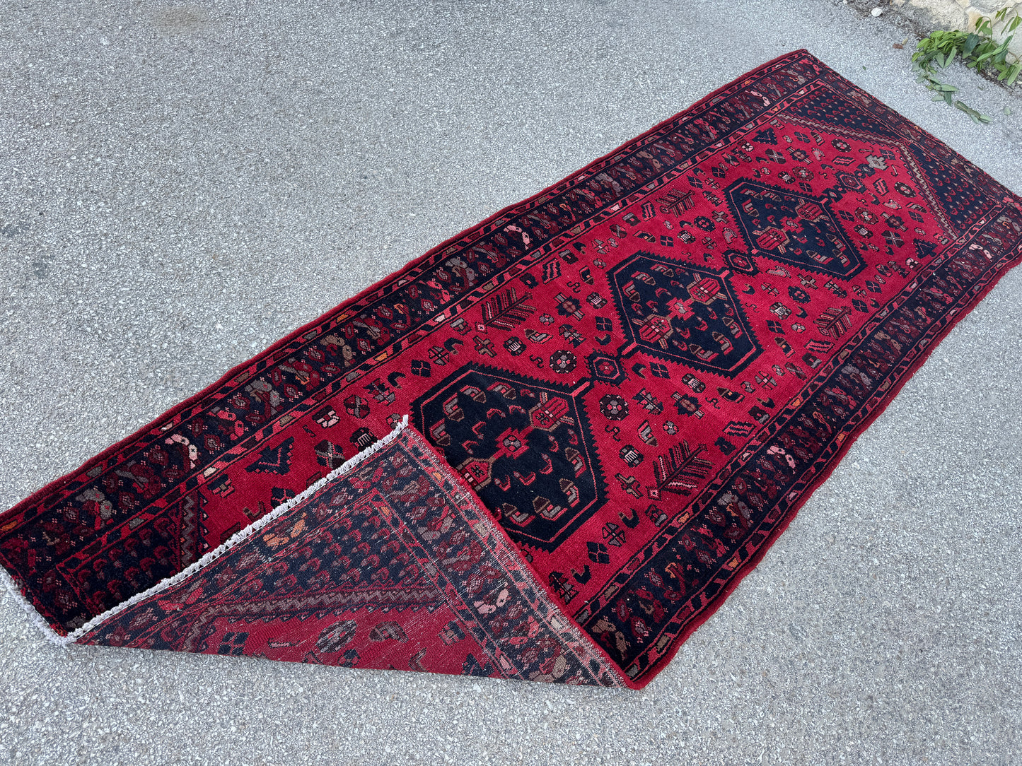 Entyway Bohemian Runner Rug 3x10- sku1851