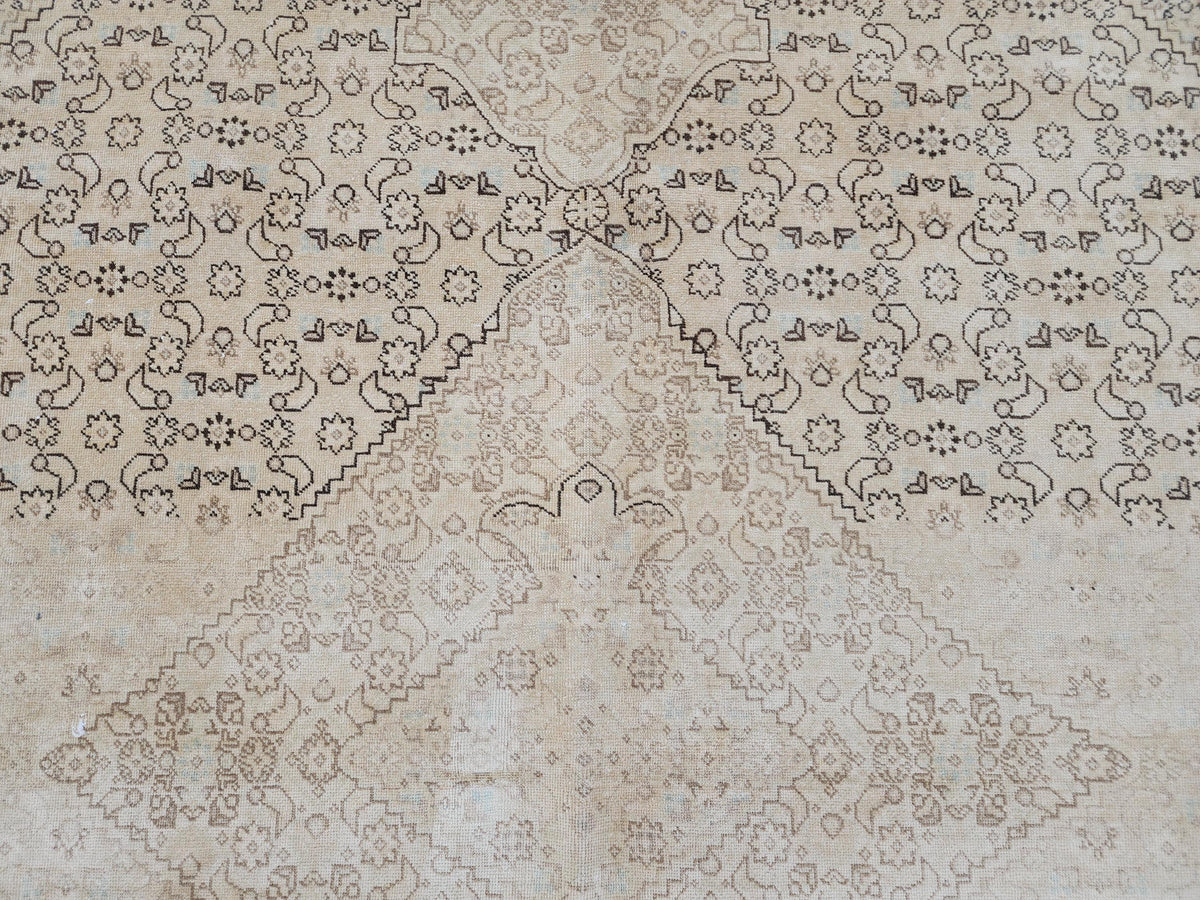 9x12 Neutral Wool Area Rug, Oriental Bohemian Decor, Beige And Brown Wool