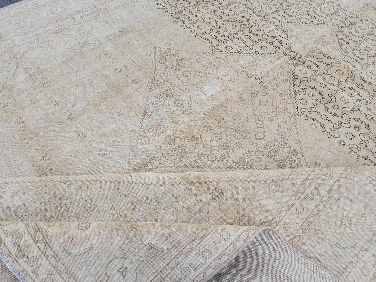 9x12 Neutral Wool Area Rug, Oriental Bohemian Decor, Beige And Brown Wool