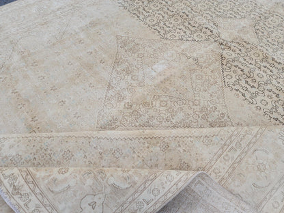 9x12 Neutral Wool Area Rug, Oriental Bohemian Decor, Beige And Brown Wool
