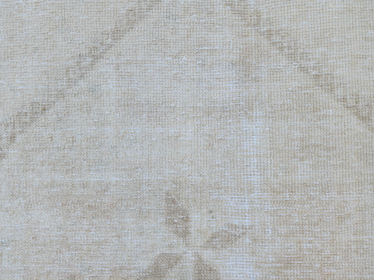 3x11 Turkish Area Rug, Neutral Hand Knotted Wool, Oriental Home Decor