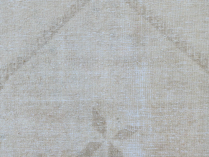 3x11 Turkish Area Rug, Neutral Hand Knotted Wool, Oriental Home Decor