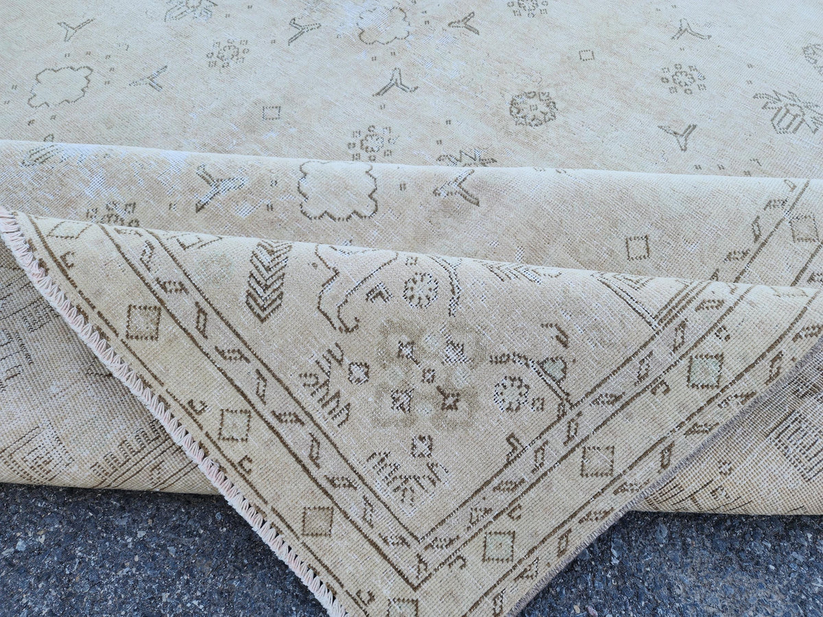 9x12 Neutral Area Rug, Turkish Hand Knotted Beige and Brown Wool, Farmhouse Decor