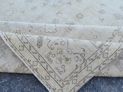 9x12 Neutral Area Rug, Turkish Hand Knotted Beige and Brown Wool, Farmhouse Decor
