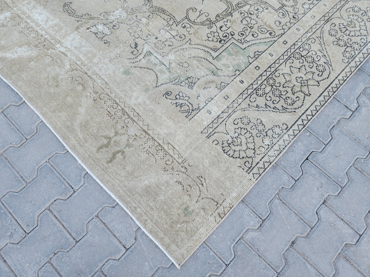 Vintage Oriental Rug 9x12: Beige And Brown Wool, Medallion Persian Border Design, Hand Knotted