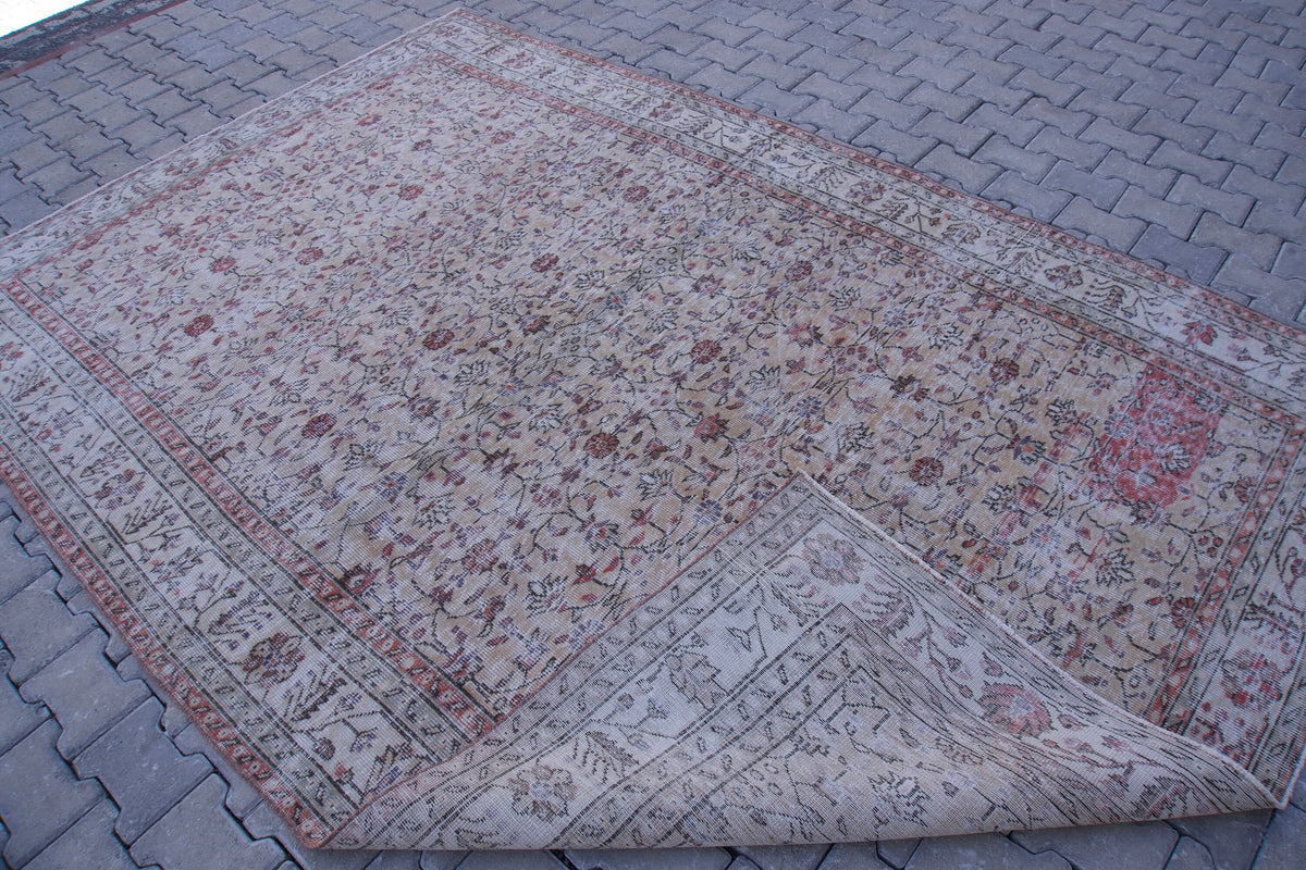 7x10 Neutral Area Rug, Living Room Home Decor, Oriental Rustic Carpet