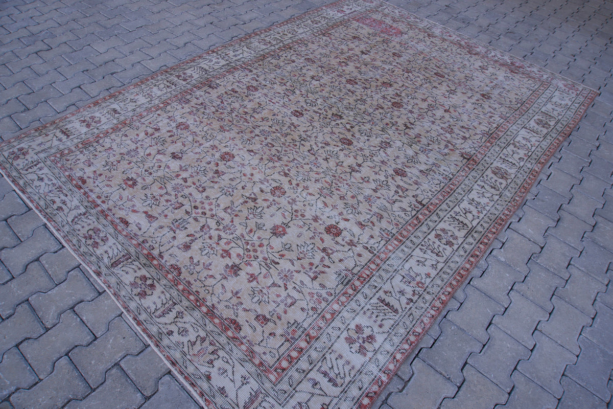 7x10 Neutral Area Rug, Living Room Home Decor, Oriental Rustic Carpet