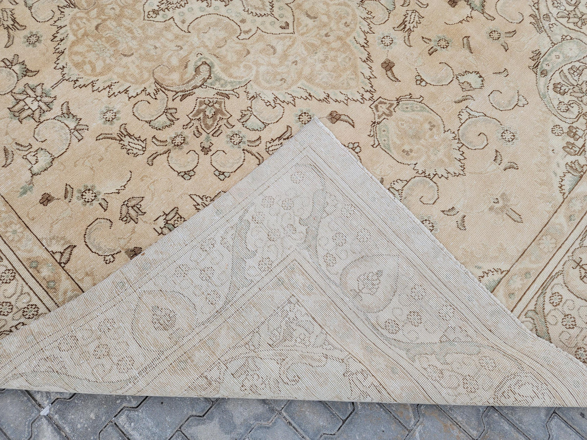 9x12 Neutral Rug, Hand Knotted Medallion Design Carpet, Beige and Brown