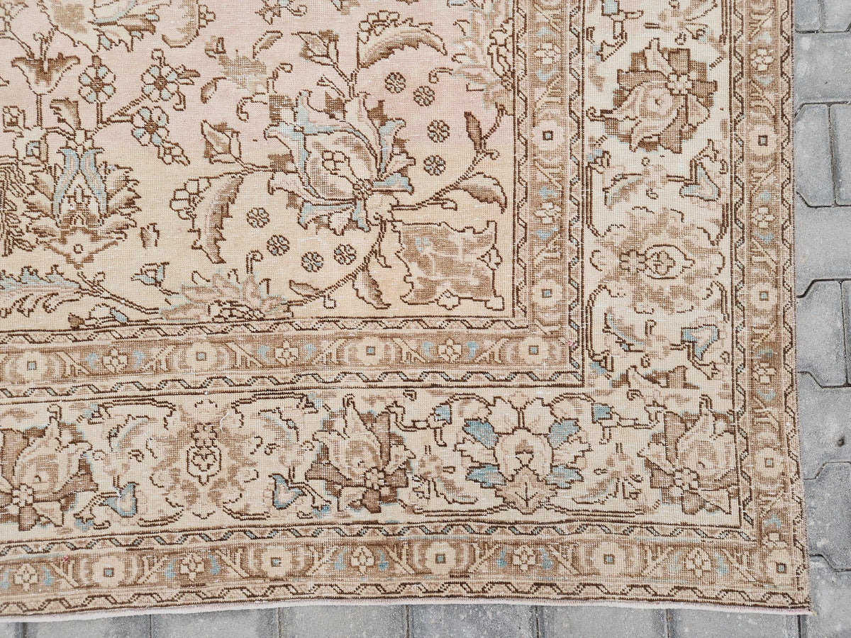 10x12 Neutral Area Rug: Home Decor, Interior Design, Beige and Brown, Living Room Rug