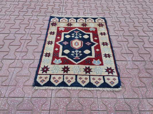 Vintage Handwoven Turkish Rug: Bohemian Oushak Small Rug (2x3)