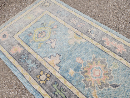 3x10 Handwoven Oushak Wool Runner Rug: Pastel Blue Floral Hallway Rug, Home Rustic Decor