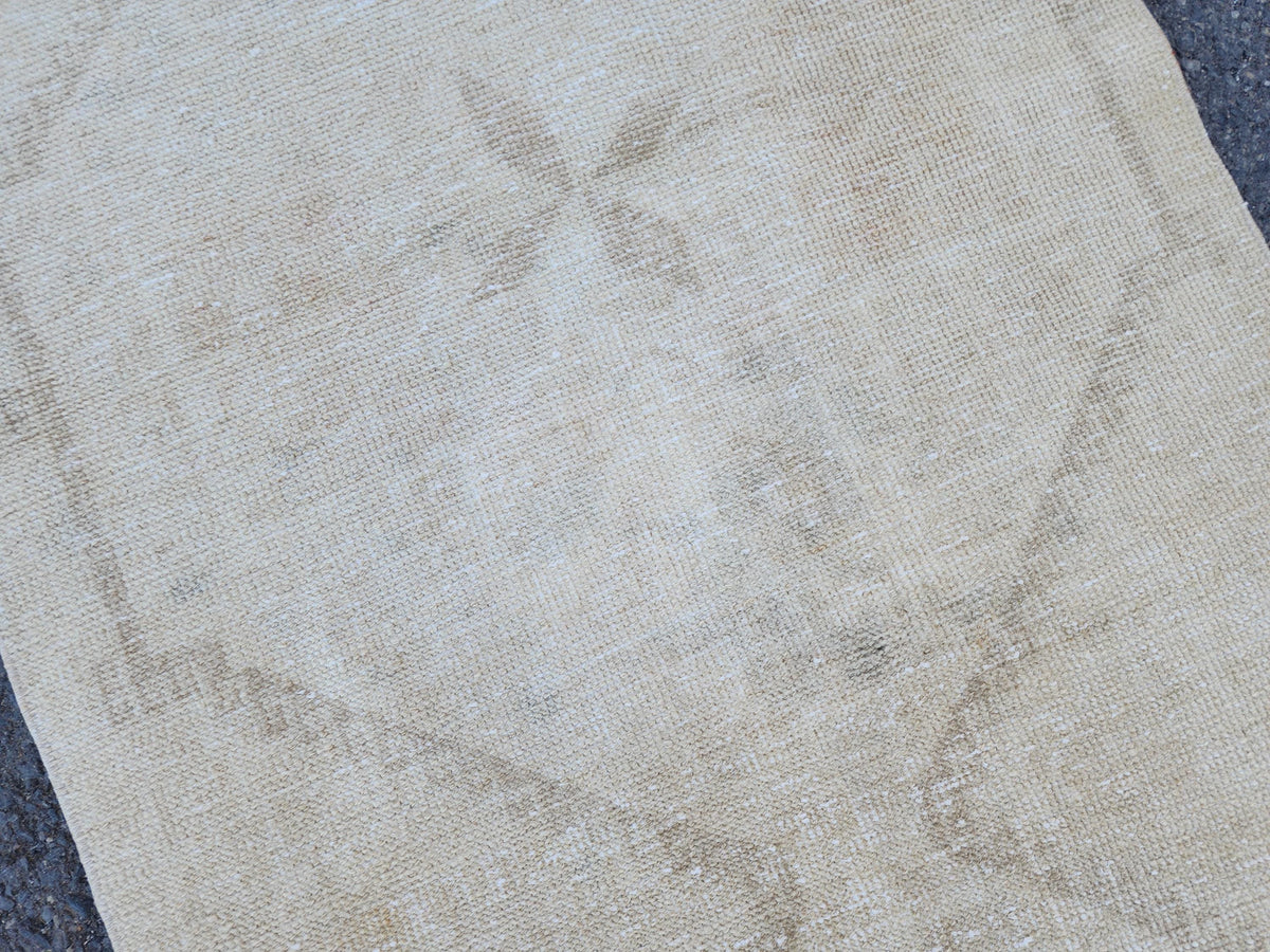 3x11 Turkish Area Rug, Neutral Hand Knotted Wool, Oriental Home Decor