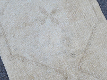 3x11 Turkish Area Rug, Neutral Hand Knotted Wool, Oriental Home Decor