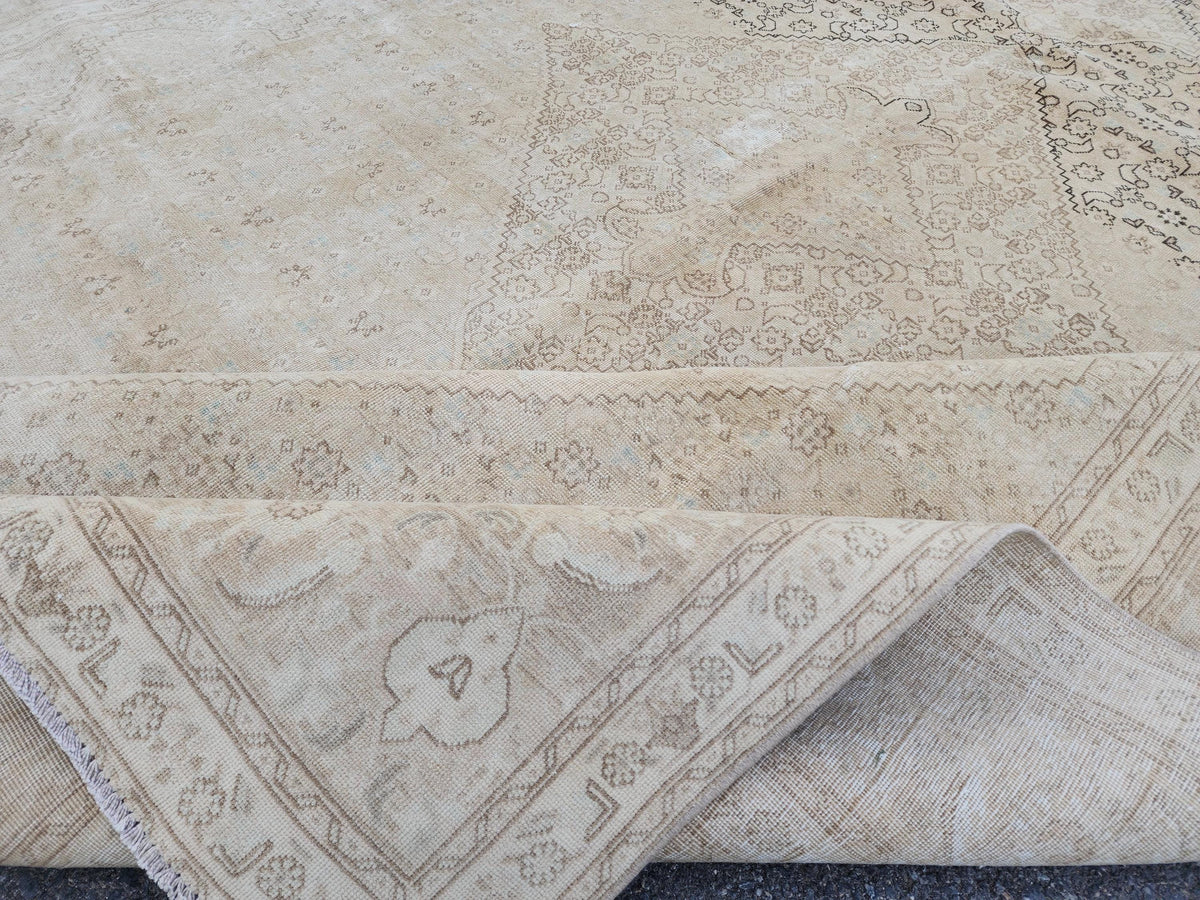 9x12 Neutral Wool Area Rug, Oriental Bohemian Decor, Beige And Brown Wool