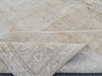 9x12 Neutral Wool Area Rug, Oriental Bohemian Decor, Beige And Brown Wool