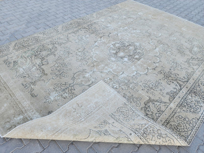 Vintage Oriental Rug 9x12: Beige And Brown Wool, Medallion Persian Border Design, Hand Knotted