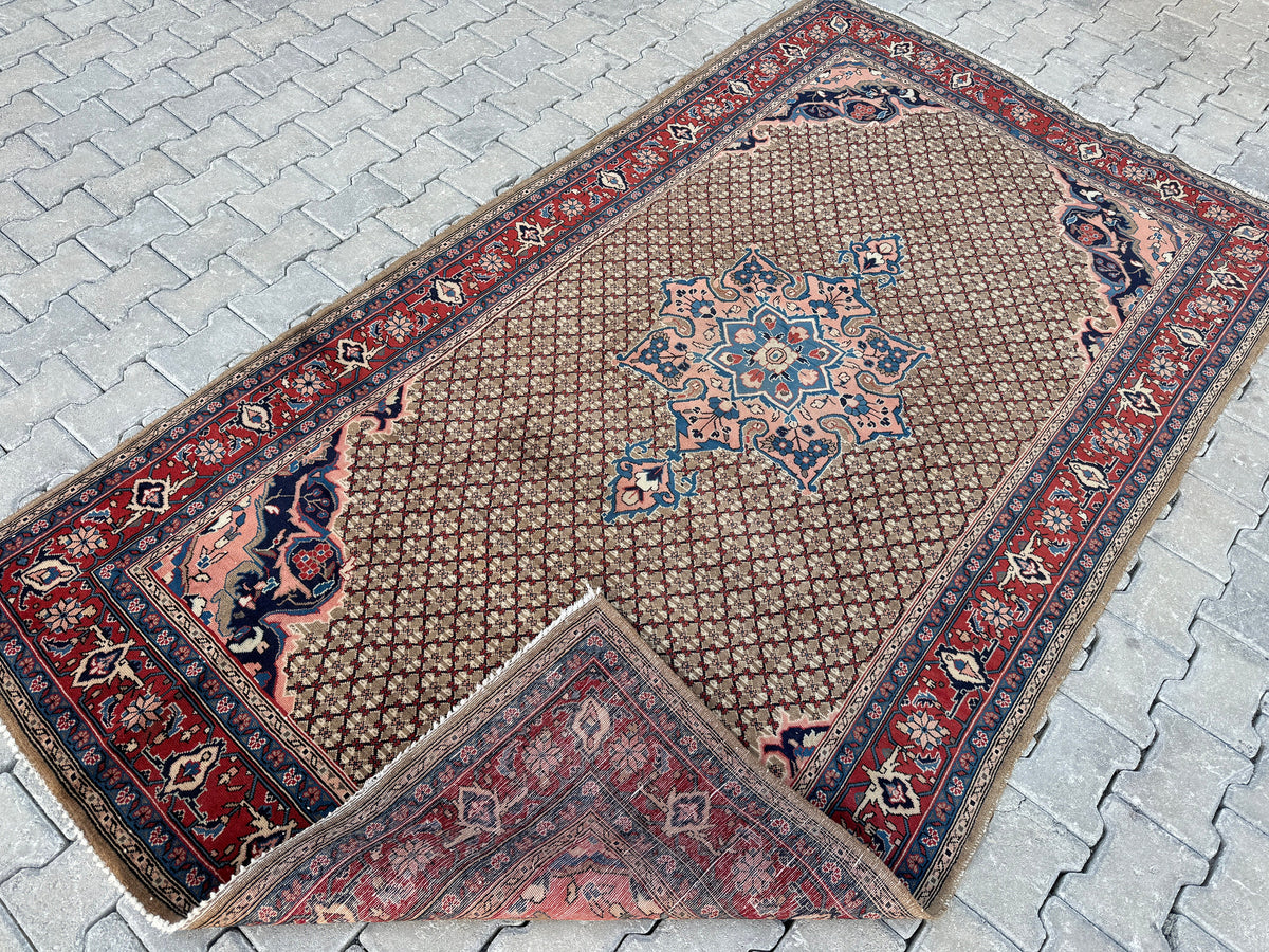 Antique Persian Rug 5x9: Hand-Knotted Wool Carpet, Boho Home Decor