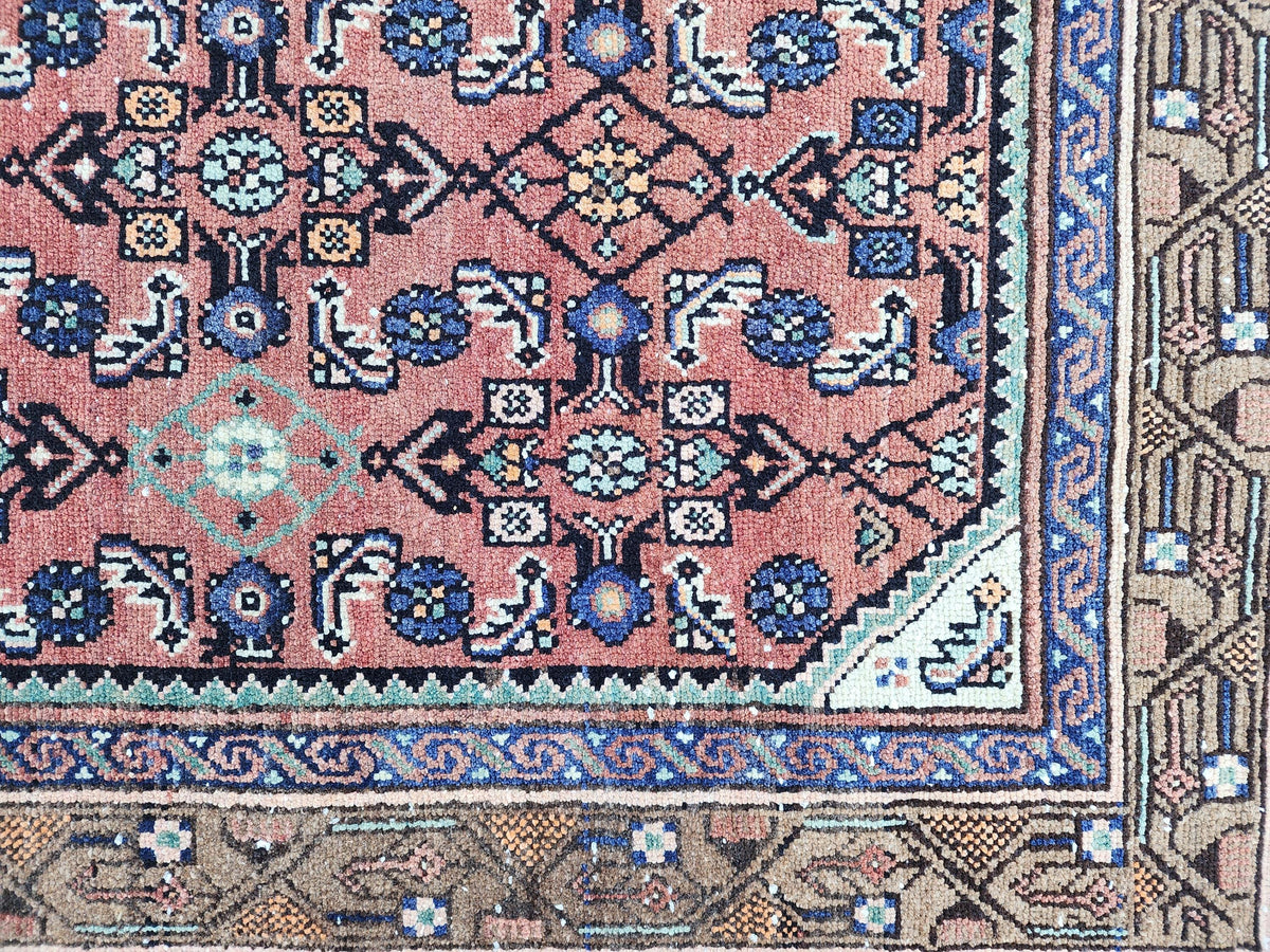 Antique Rustic Runner Rug 3x9: Hand Knotted, Persian Medallion Design