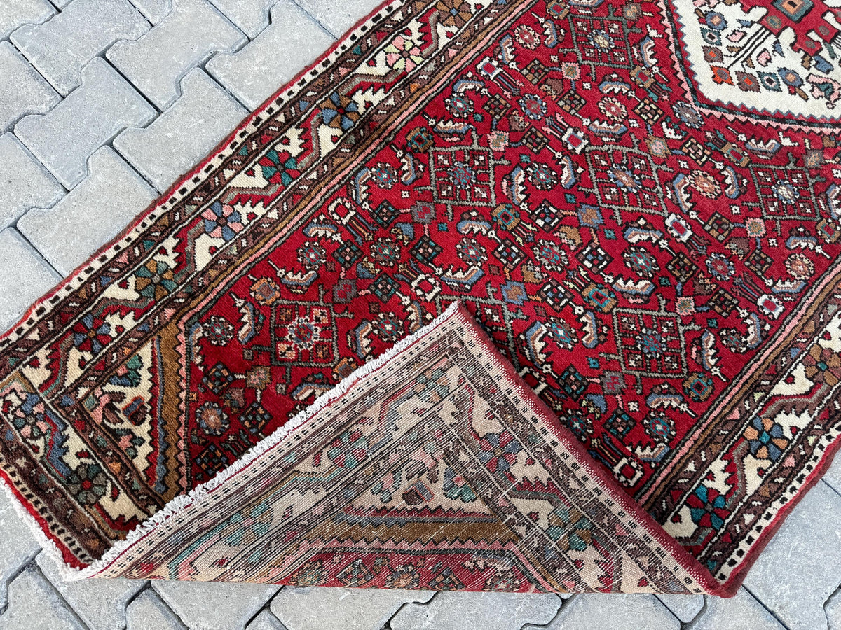 Handmade Oriental Runner Rug: Rustic Kitchen Hallway Decor (3x9)