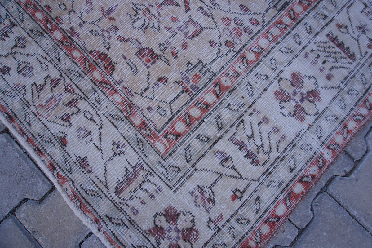 7x10 Neutral Area Rug, Living Room Home Decor, Oriental Rustic Carpet