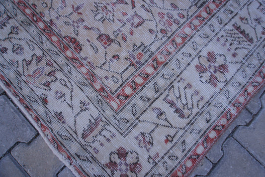 7x10 Neutral Area Rug, Living Room Home Decor, Oriental Rustic Carpet