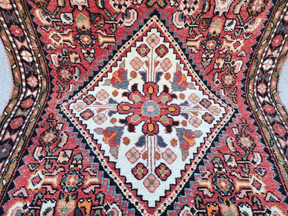 Oriental Boho Runner Rug 3x10: Hand Knotted, Red and White