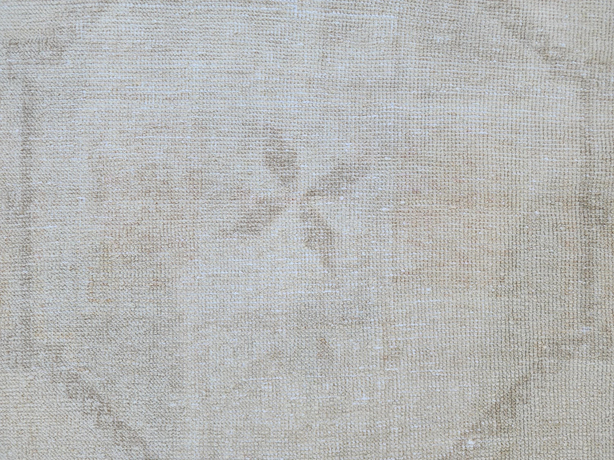 3x11 Turkish Area Rug, Neutral Hand Knotted Wool, Oriental Home Decor