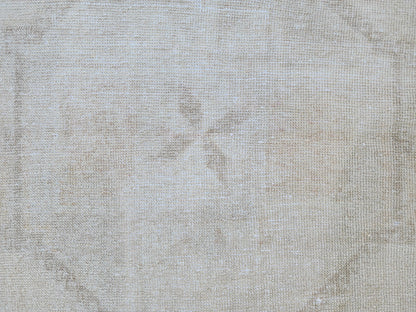 3x11 Turkish Area Rug, Neutral Hand Knotted Wool, Oriental Home Decor