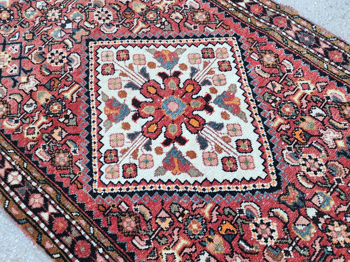 Oriental Boho Runner Rug 3x10: Hand Knotted, Red and White