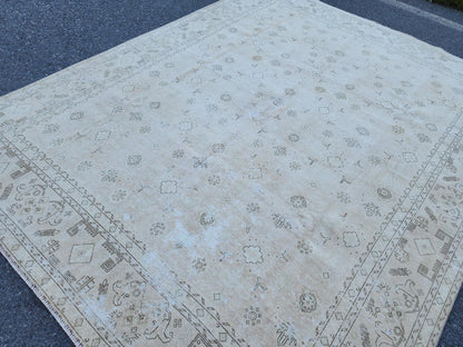 9x12 Neutral Area Rug, Turkish Hand Knotted Beige and Brown Wool, Farmhouse Decor