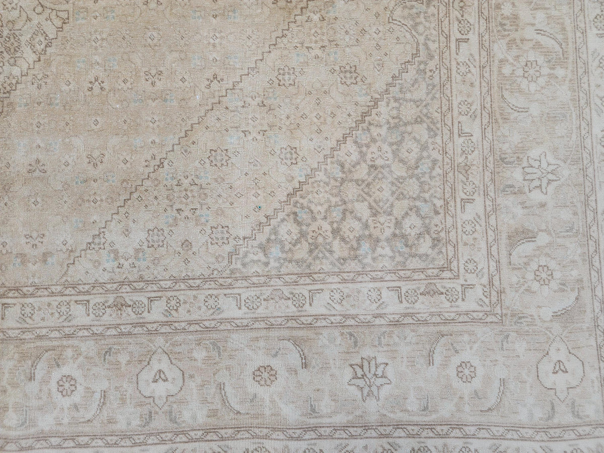 9x12 Neutral Wool Area Rug, Oriental Bohemian Decor, Beige And Brown Wool