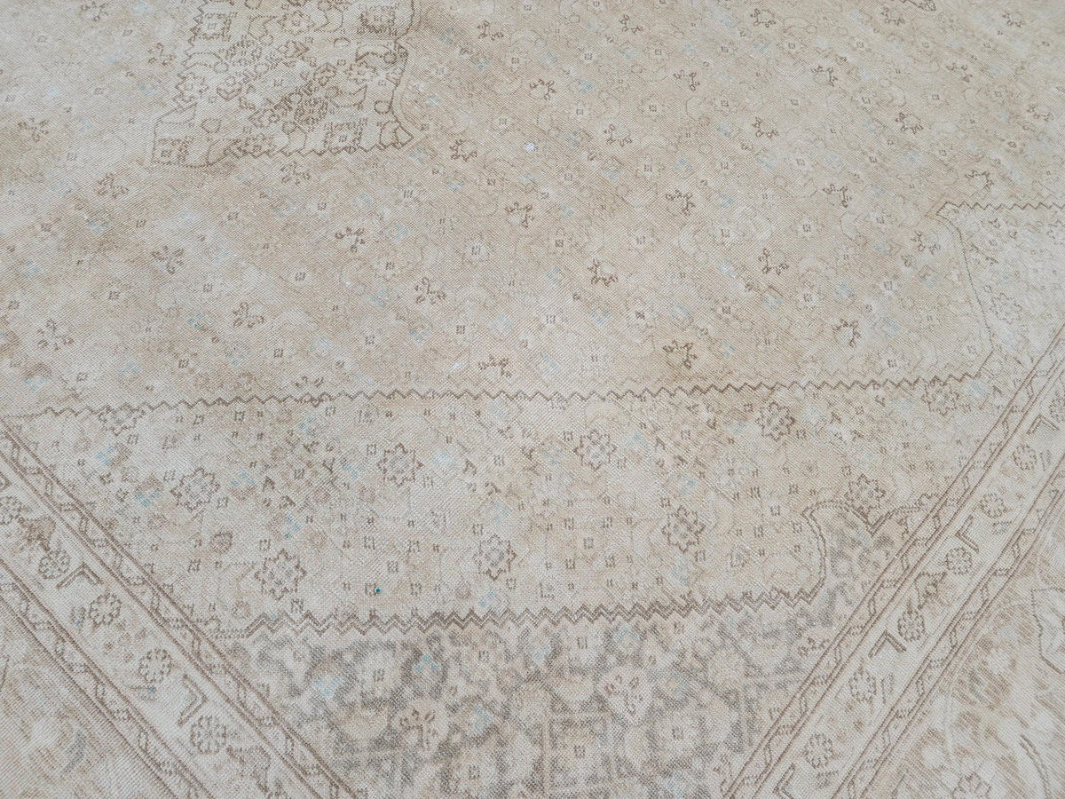 9x12 Neutral Wool Area Rug, Oriental Bohemian Decor, Beige And Brown Wool