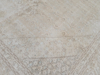 9x12 Neutral Wool Area Rug, Oriental Bohemian Decor, Beige And Brown Wool