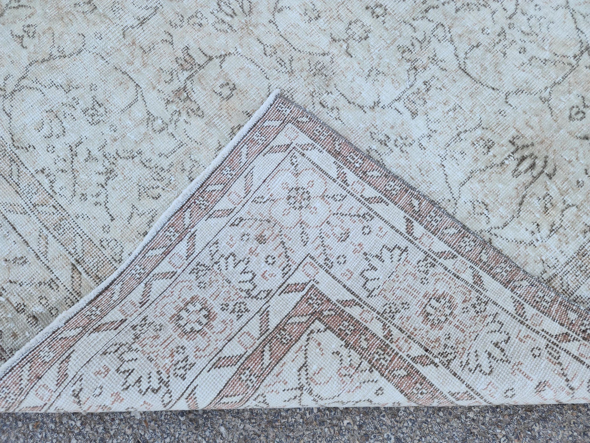 Neutral Rug 5x9, Hand Knotted, Oriental Living Room Decor, Beige and Brown