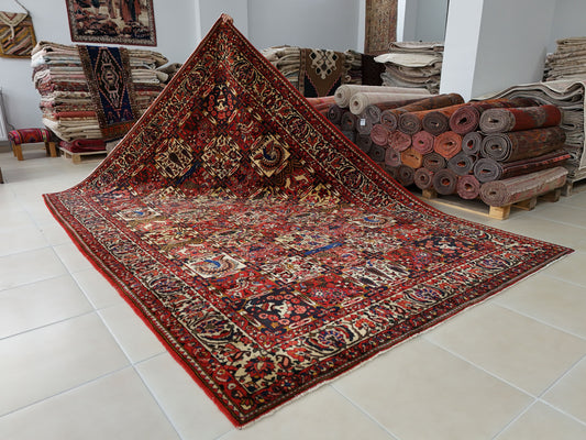 Vintage Bakhtiari Wool Rug 7x10 ft – Hand Knotted Persian Style Red Patchwork Area Rug (1960s)- sku2100