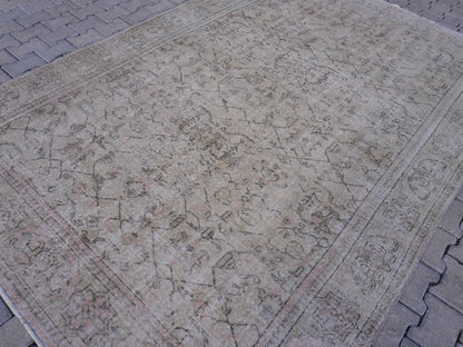Turkish Neutral isparta Rug 7x10 ft - skuf287