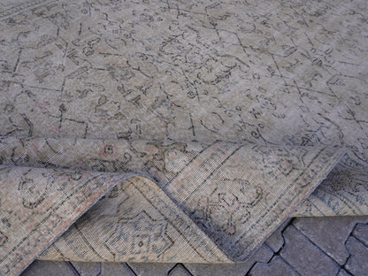 Turkish Neutral isparta Rug 7x10 ft - skuf287