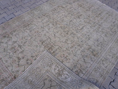 Turkish Neutral isparta Rug 7x10 ft - skuf287