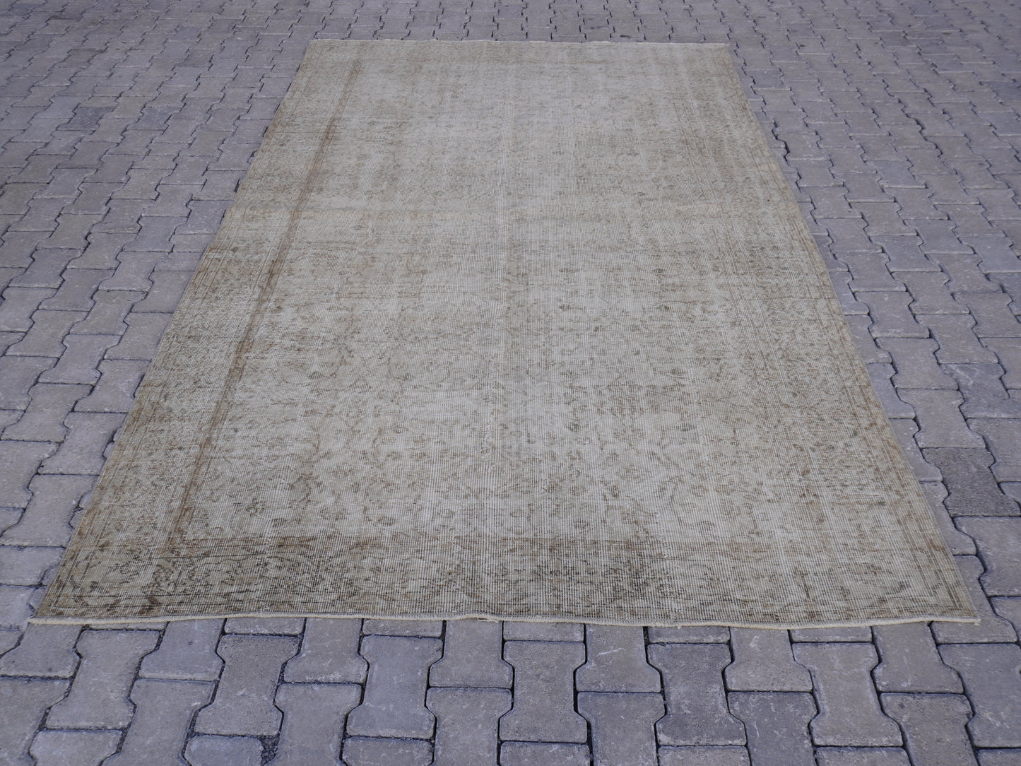 Vintage Neutral Rug 6x9 ft - skuf195