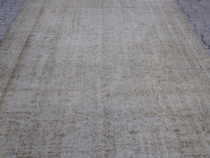 Vintage Neutral Rug 6x9 ft - skuf195