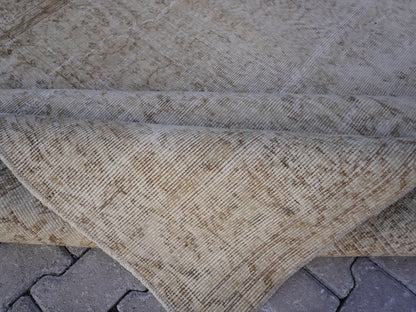 Vintage Neutral Rug 6x9 ft - skuf195