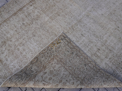 Vintage Neutral Rug 6x9 ft - skuf195