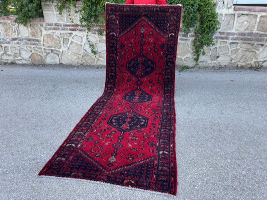 Entyway Bohemian Runner Rug 3x10- sku1851