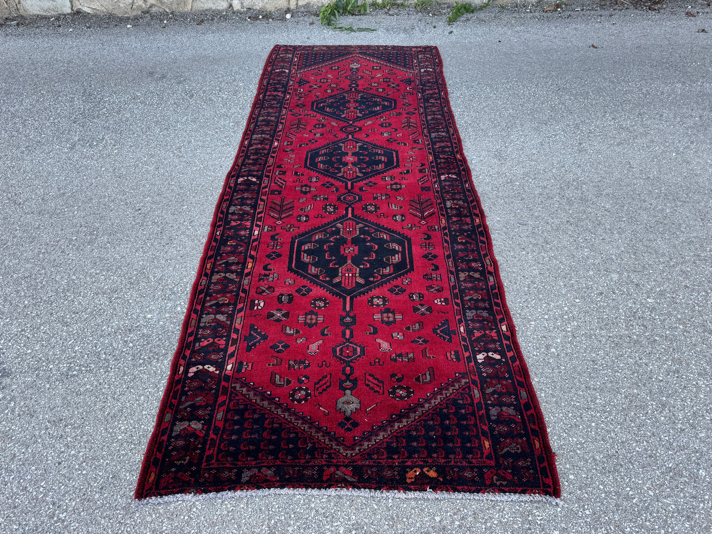 Entyway Bohemian Runner Rug 3x10- sku1851