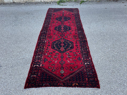 Entyway Bohemian Runner Rug 3x10- sku1851