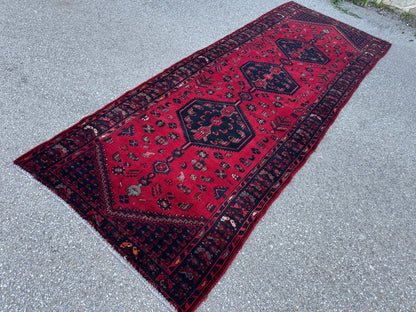 Entyway Bohemian Runner Rug 3x10- sku1851