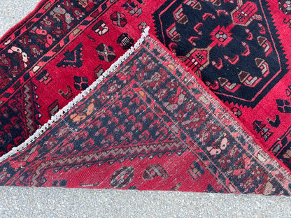 Entyway Bohemian Runner Rug 3x10- sku1851