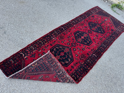 Entyway Bohemian Runner Rug 3x10- sku1851